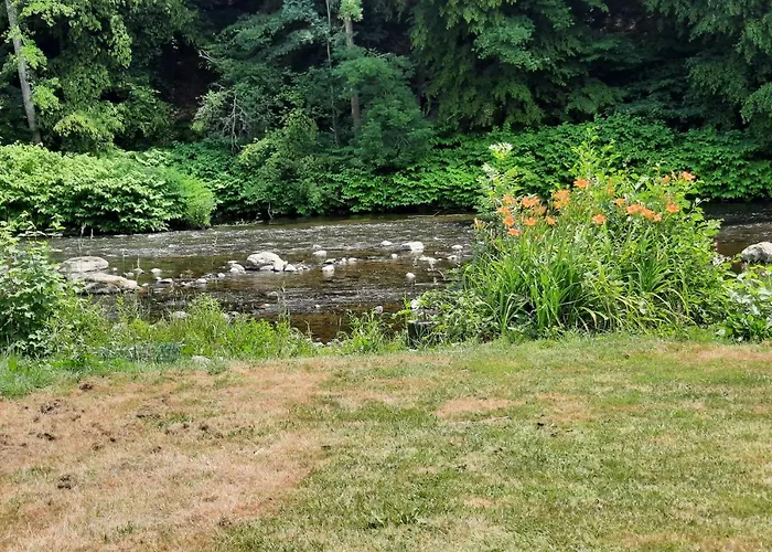 Nikita Caravane אתר קמפינג אייבלי